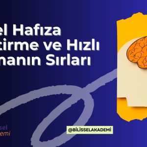 Görsel Hafıza Geliştirme