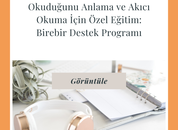 Okuduğunu Anlama ve Akıcı Okuma İçin Özel Eğitim Birebir Destek Programı