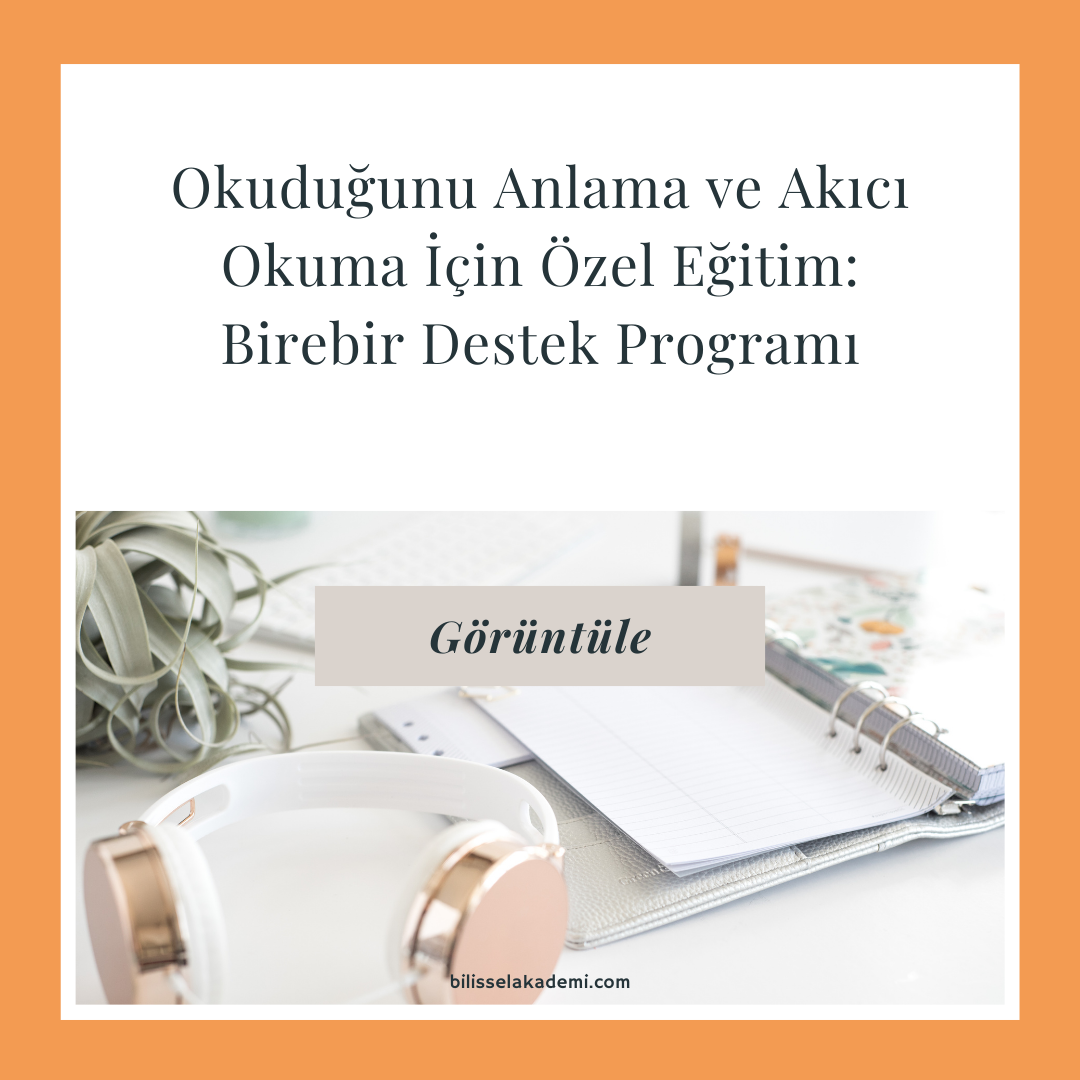 Okuduğunu Anlama ve Akıcı Okuma İçin Özel Eğitim Birebir Destek Programı